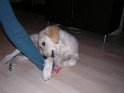 Iarna 2009 023